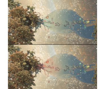 Les Lipides du Sol dans le Système des Substances Humiques Les Lipides du Sol dans le Système des Substances Humiques