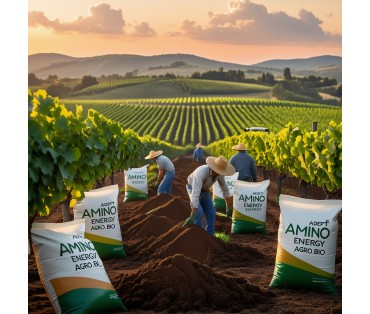 Effectiveness of Adept and Amino Energy Agro.Bio humic fertilizers on vineyards