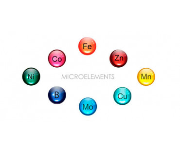 Influencia del microfertilizante Adept “Agro.Bio” en el desarrollo de microorganismos en el suelo