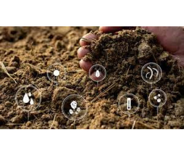 Eficiencia comparativa del humato de potasio y un conjunto equivalente de fertilizantes minerales