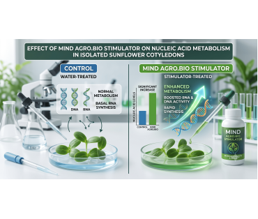 The effect of the Mind Agro.Bio stimulator on nucleic acid metabolism in isolated sunflower cotyledons