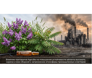 Вплив препаратів Agro.Bio на підвищення стійкості айланта високого, бузку та їжака збірного до атмосферного забруднення, спричиненого промисловими кластерами Вплив препаратів Agro.Bio на підвищення стійкості айланта високого, бузку та їжака збірного до атмосферного забруднення, спричиненого промисловими кластерами