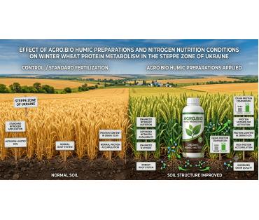 Wpływ preparatów humusowych Agro.Bio i warunków odżywiania azotem na metabolizm białka pszenicy ozimej w strefie stepowej Ukrainy