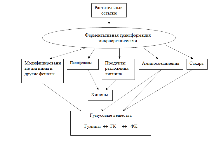  Общие свойства трех главных компонентов гумуса